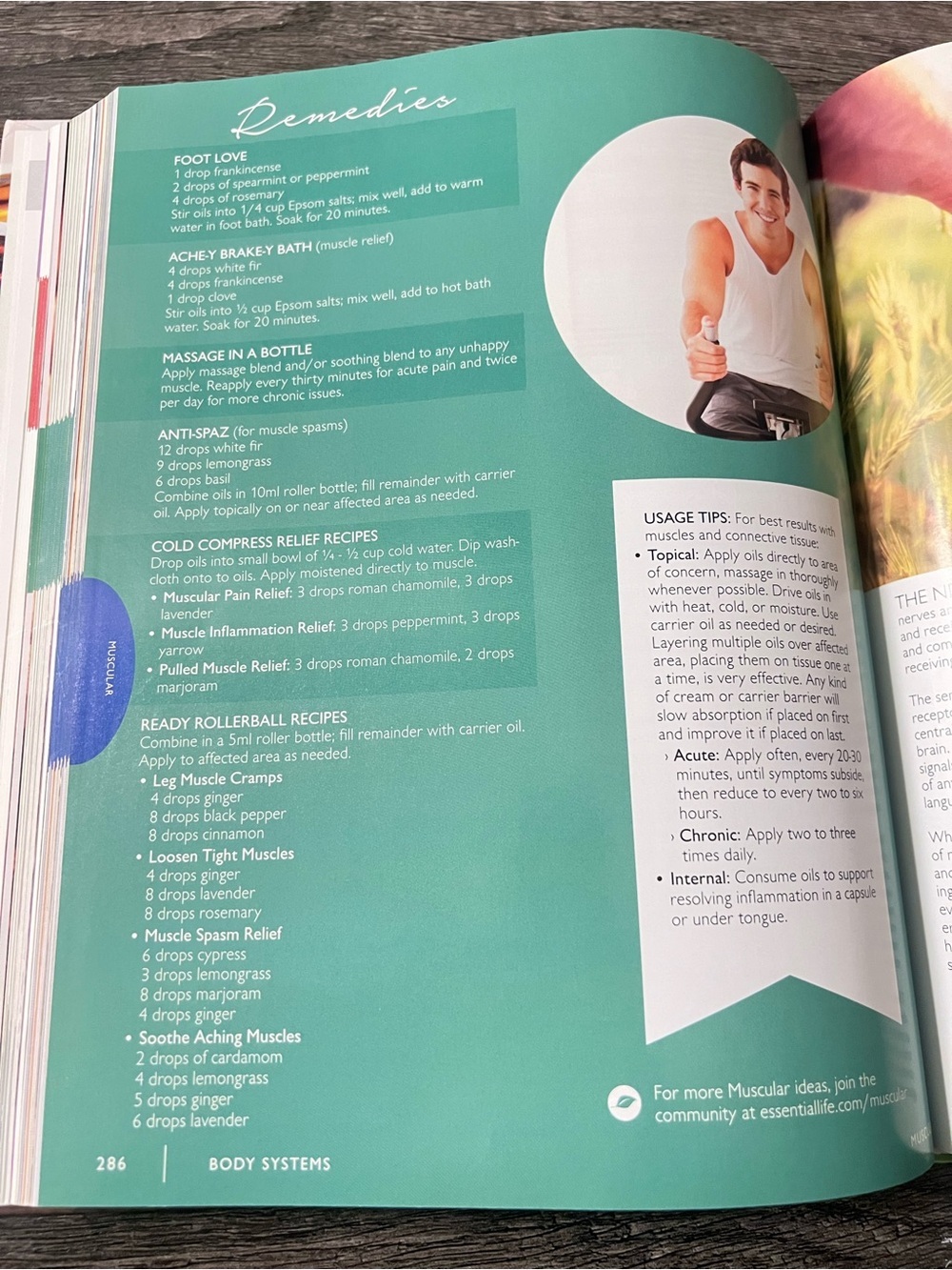 The Essential Life 3rd Edition Essential Oils Reference Guide Wellness Hardcover - Picture 8 of 9